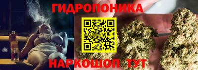 прущие крисы Сланцы