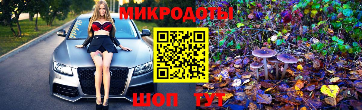 Бирск  закладка  Вход с VPN  Псилоцибиновые грибы Cubensis 